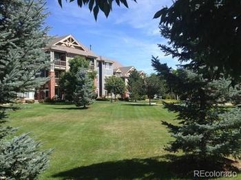 804 Summer Hawk Drive