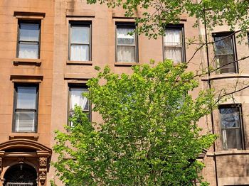 181 St Marks Avenue