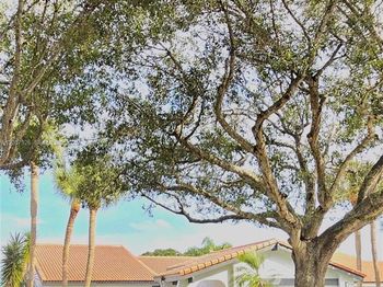 5551 Lakeview Mews Dr
