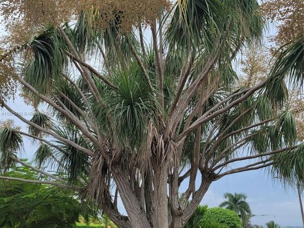 853 SW 3rd St, Florida City FL 33034