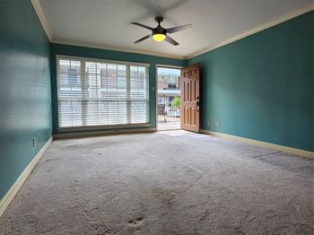 2507 Montrose Boulevard