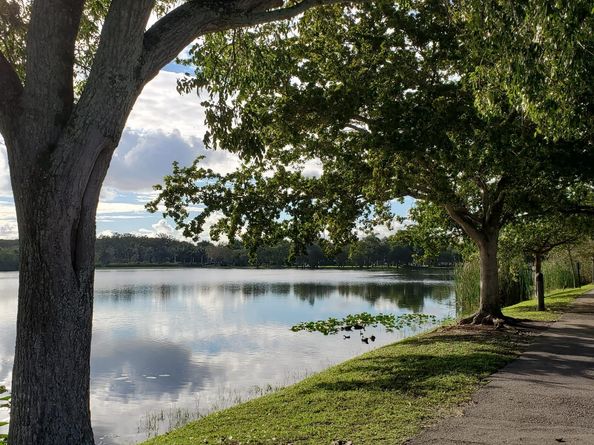 120 Royal Park Dr B4, Oakland Park FL 33309