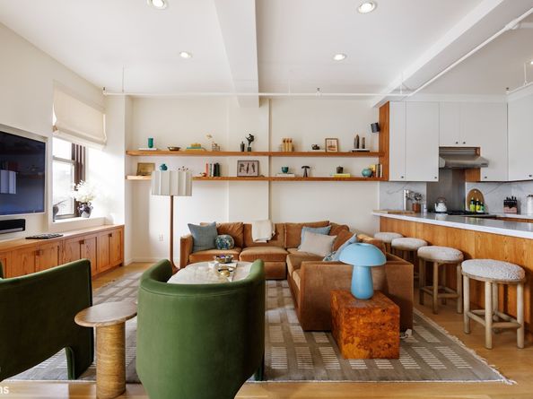 365 Bridge Street 14D, Brooklyn NY 11201