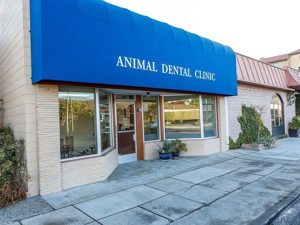 987 Laurel Street, San Carlos CA 94070