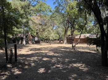 245 Bonita Road