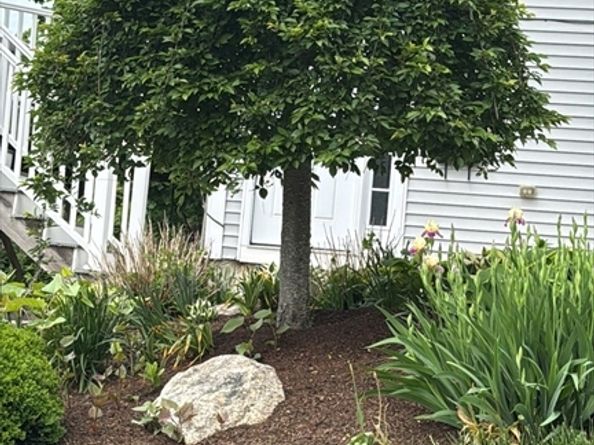 1 Clegg St, Worcester MA 01603
