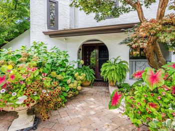 50 Cedar Lane