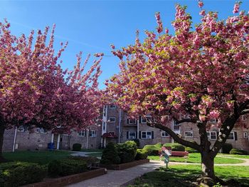65-30 Grand Central Parkway