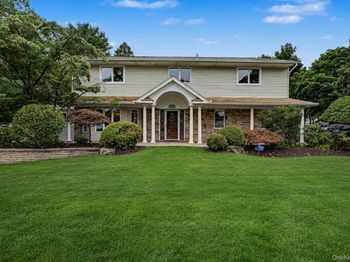 6 Field Daisy Lane