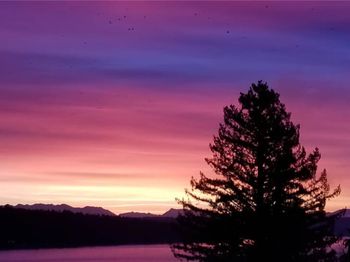 12725 42nd Avenue NE