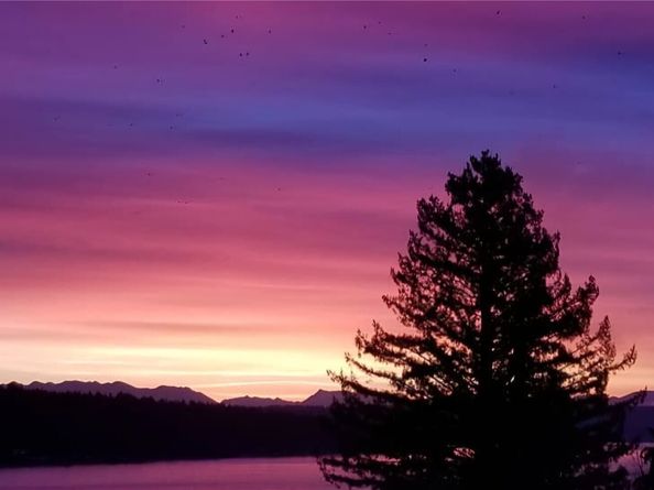 12725 42nd Avenue NE, Seattle WA 98125