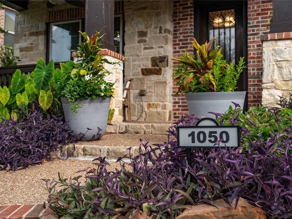 1050  Lone Ivory Trail , Arlington Texas 76005