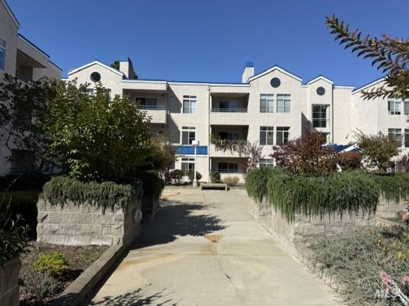 535 Pierce Street 1216, Albany CA 94706