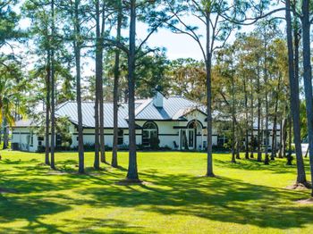 11230 Alligator Trail