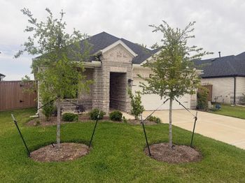 25314 Loch Doon Drive