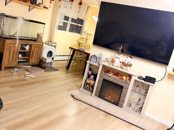 1030 E Lancaster Avenue 203, Bryn Mawr PA 19010