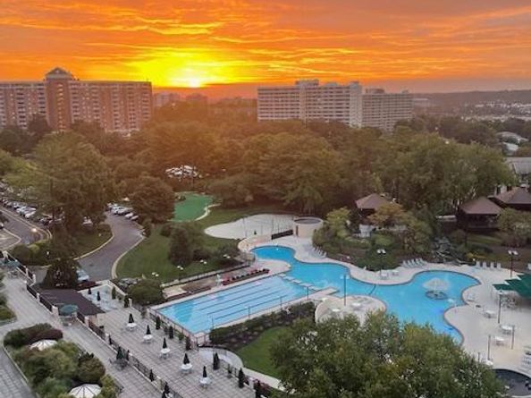 205 Yoakum Parkway 1016, Alexandria VA 22304