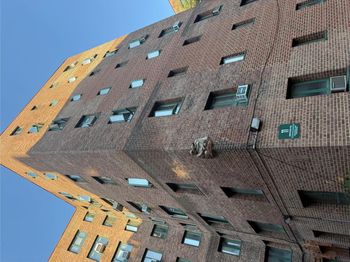 11 metropolitan Oval