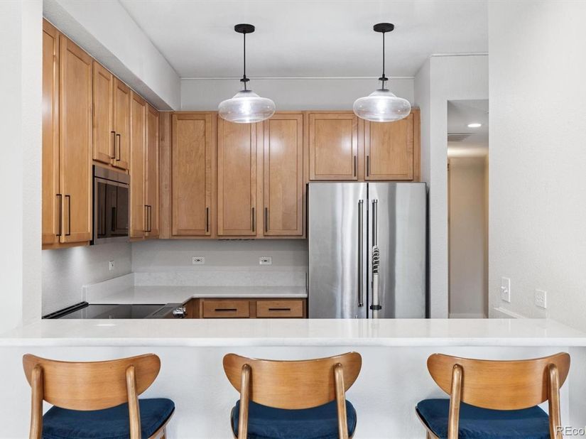 1699 N Downing Street 309, Denver CO 80218