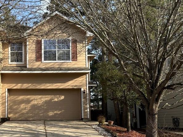 38 Blue Creek Place, The Woodlands TX 77382