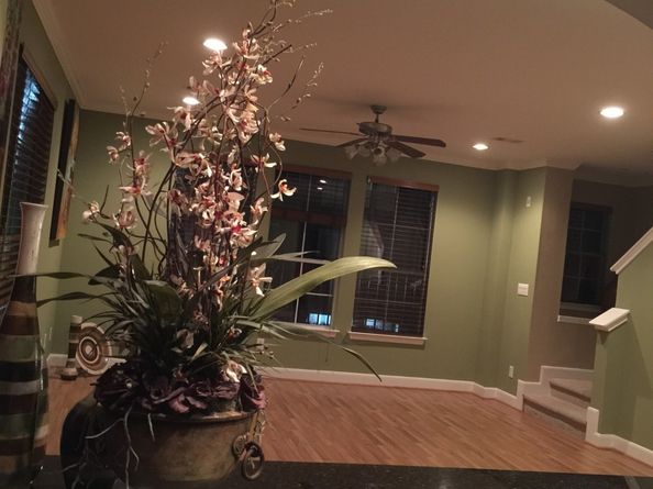 3001 Murworth Drive 1001, Houston TX 77025