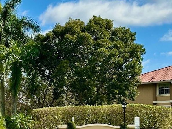 151 SW 117 Av 9206, Pembroke Pines FL 33025