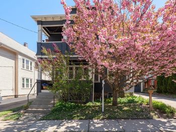 45 Springfield Street