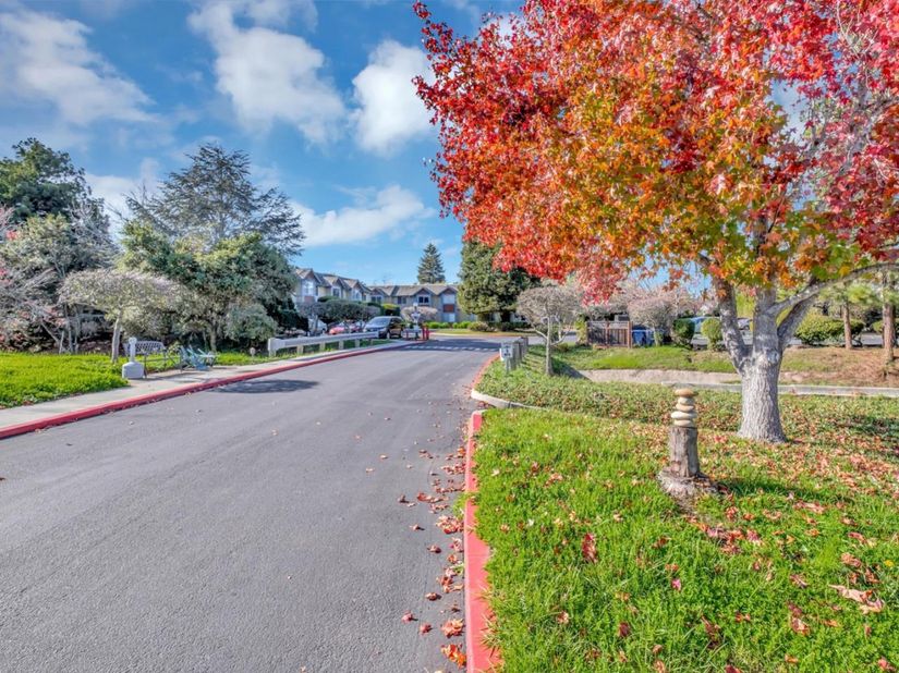 203 Vista Prieta Court, Santa Cruz CA 95062