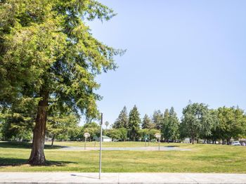 5200 Snow Drive