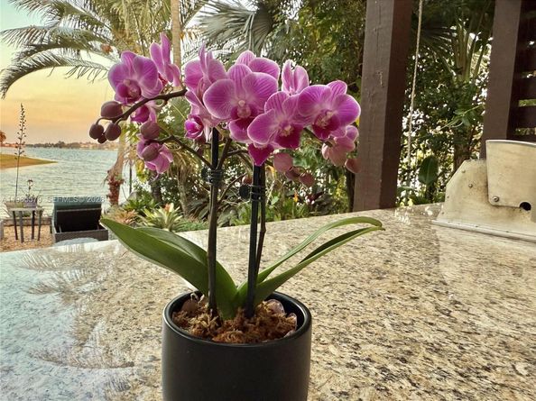 5265 SW 171st Ave, Miramar FL 33027