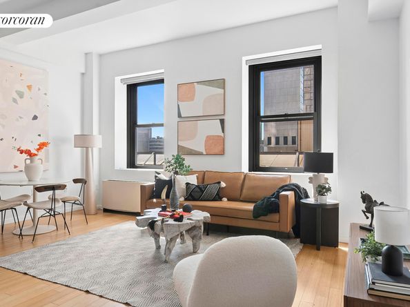 365 Bridge Street 11G, Brooklyn NY 11201