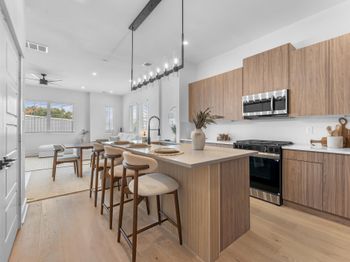 2308 Springwood Cove Lane