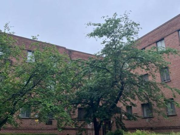 4721 1st Street SW 101, Washington DC 20032