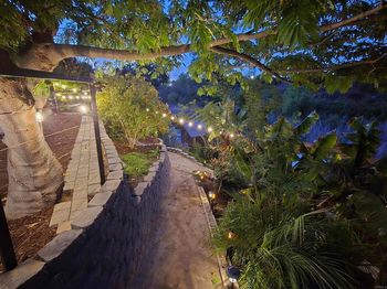 3124 Morningside Drive
