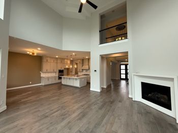 21319 Blue Wood Aster Court