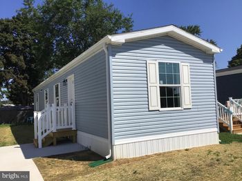 123 Adams Drive