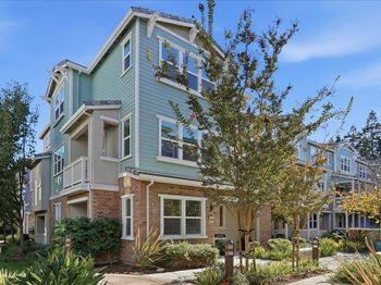 125 Maidenhair Terrace