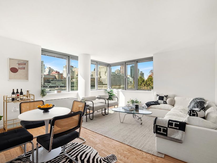 425 Main Street 4E, New York NY 10044