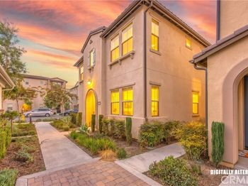 7442 Desert Holly