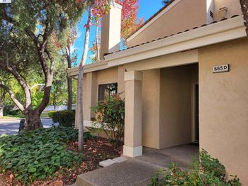 665 Palomino Dr