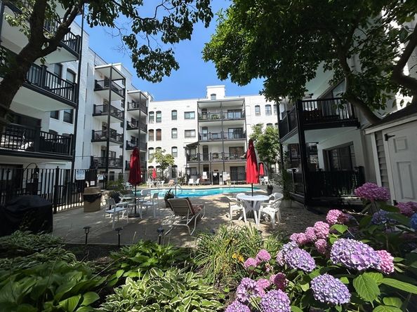 4 Commonwealth Ct 17, Boston MA 02135