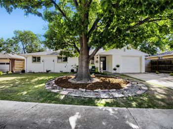 1241 Vivian Street