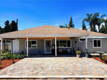 111 Poinsettia