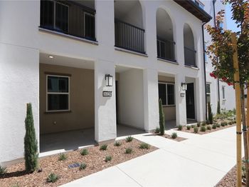 16126 Spicebush Lane