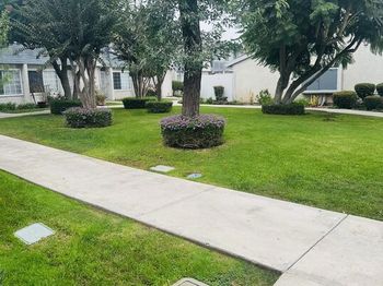 810 W Compton Boulevard