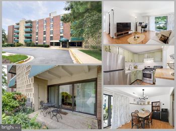 6135 Leesburg Pike