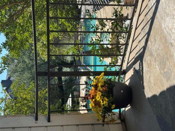 6000 Shepherd Mountain CV