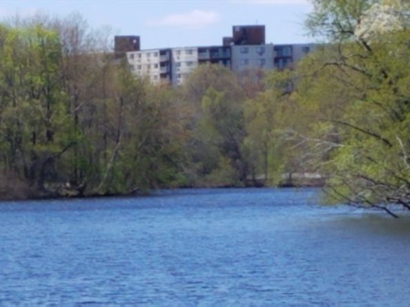 151 Coolidge Ave 105, Watertown MA 02472