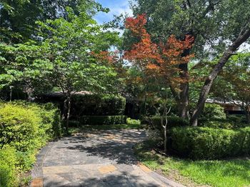 10329  Lake Gardens Drive 