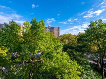 382 Central Park W